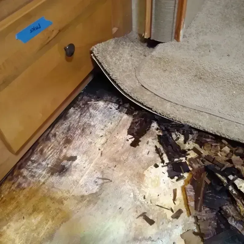 Wood Floor Water Damage in Palm City, FL